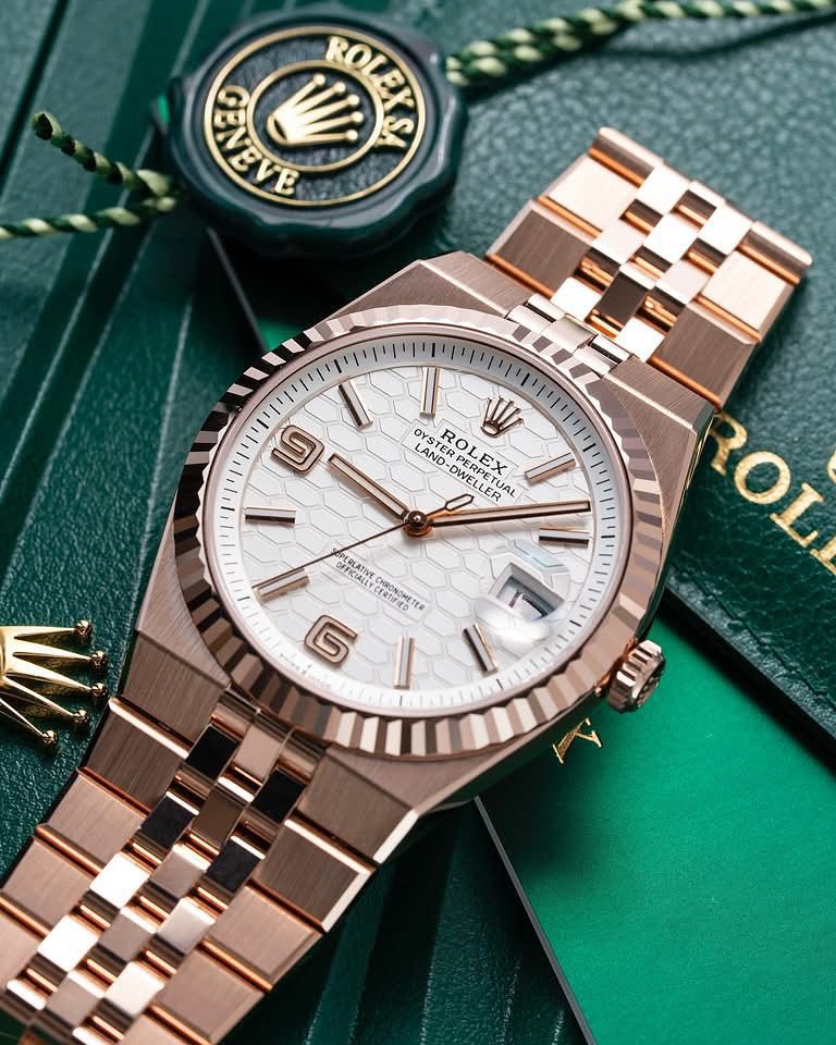 Rolax Land Dwellers – Elevate Your Everyday Style