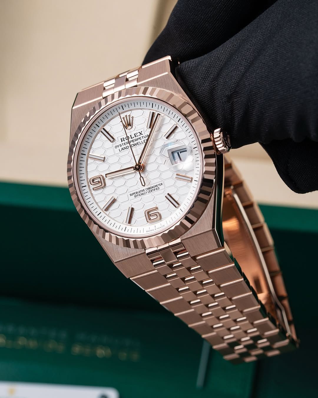 Rolax Land Dwellers – Elevate Your Everyday Style