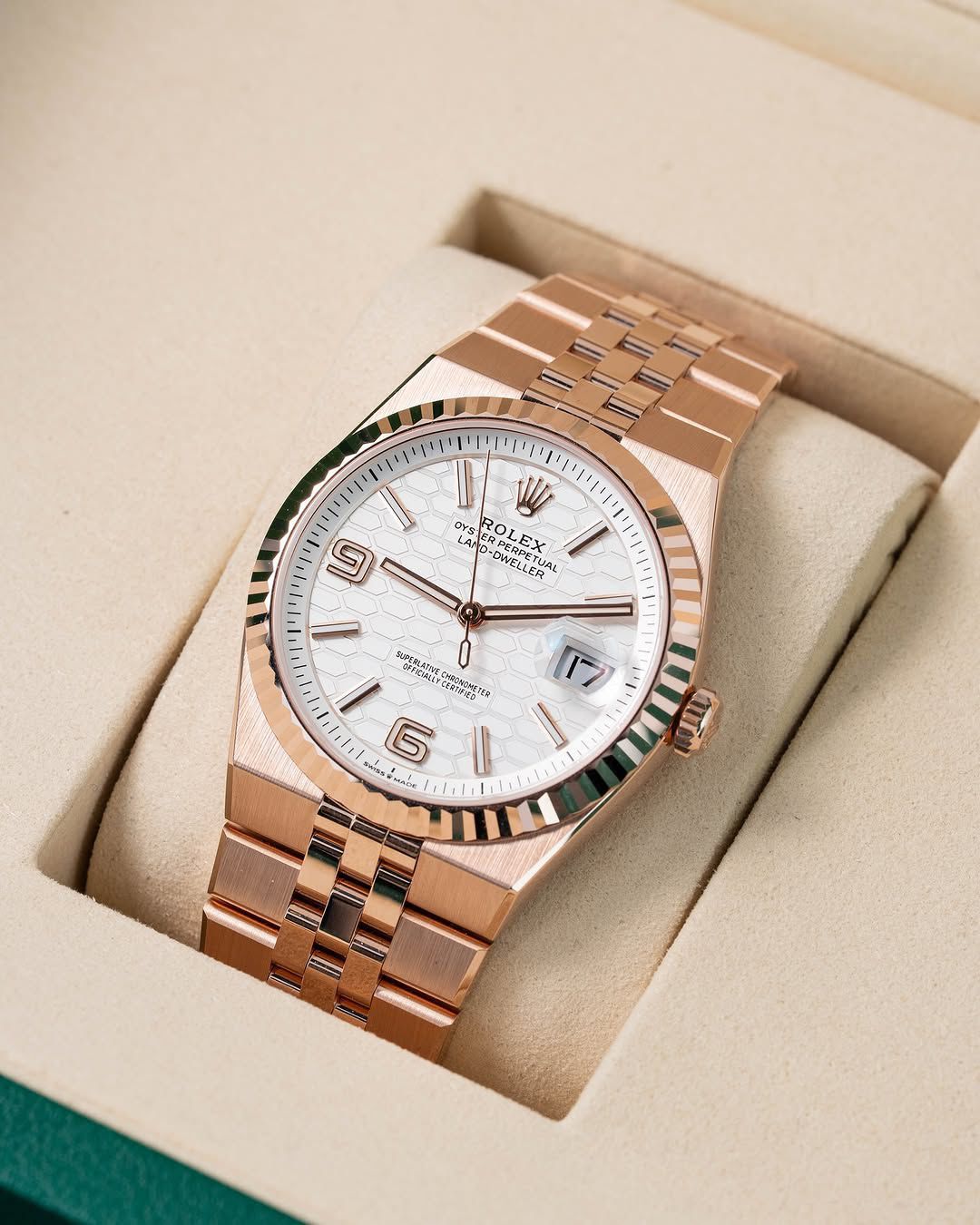 Rolax Land Dwellers – Elevate Your Everyday Style